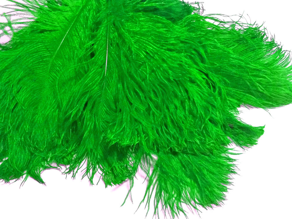 10 Pieces -  12-16" Lime Green Dyed Ostrich Tail Fancy Feathers