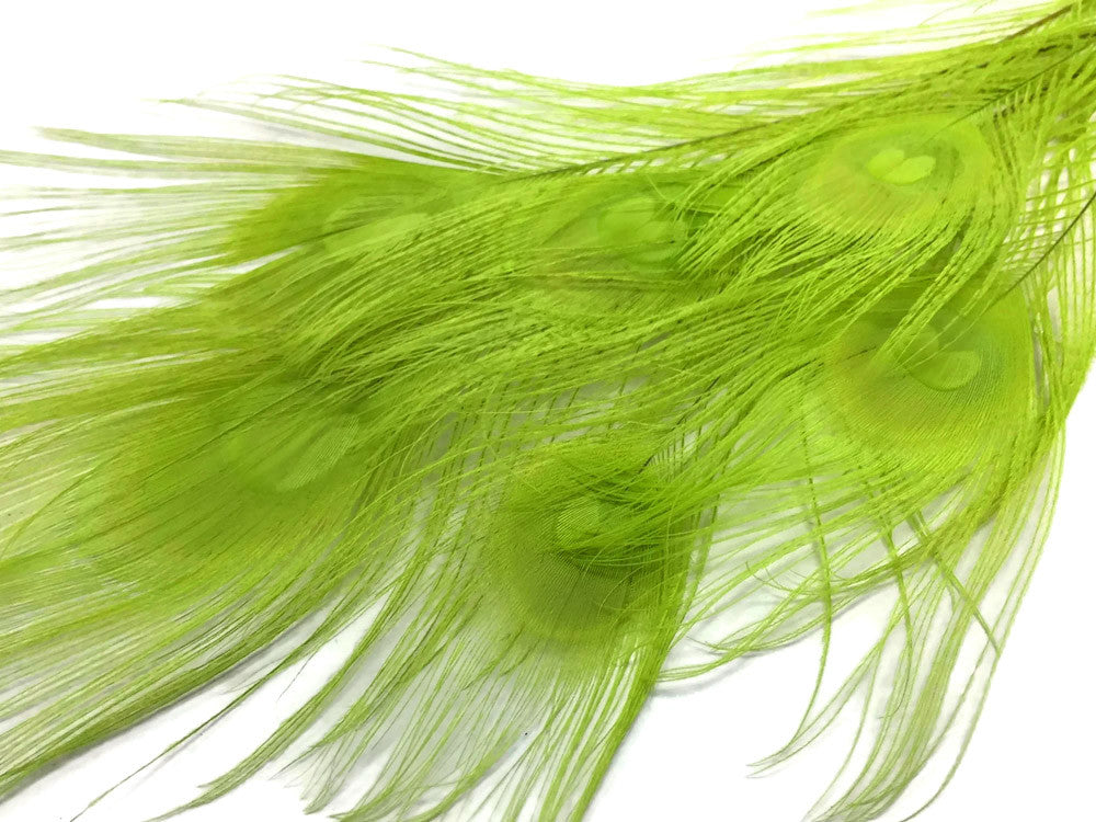 5 Pieces – Lime Green Bleached & Dyed Peacock Tail Eye Feathers 10-12” Long 