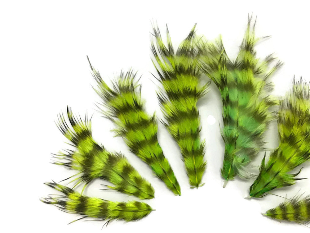 1 Dozen - Lime Green Grizzly Mini Rooster Chickabou Fluff Whiting Hair Feathers