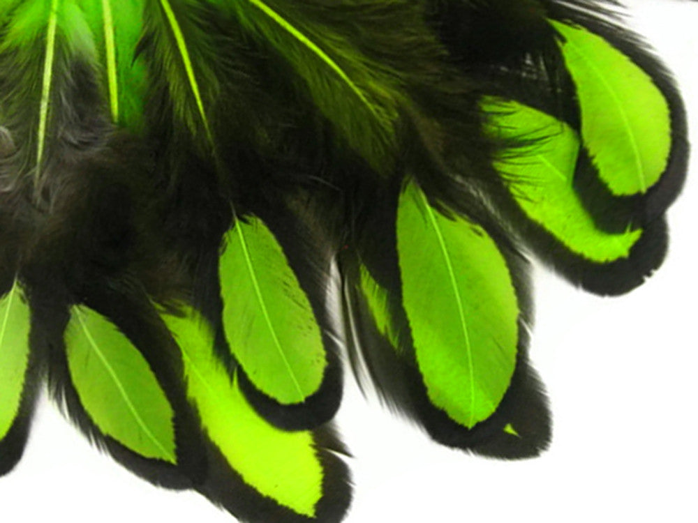 1 Dozen - Lime Green Whiting Farms Laced Hen Saddle Feathers