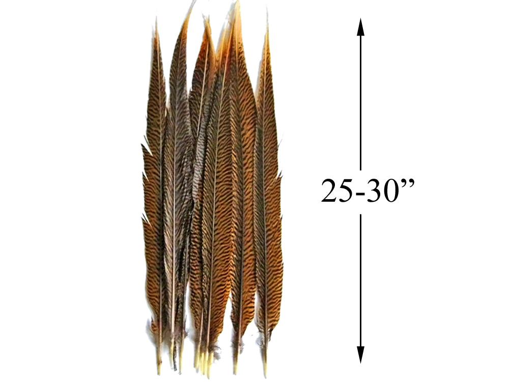 50 Pieces - 25-30" Natural Golden Pheasant Tail Wholesale Feathers (Bulk)