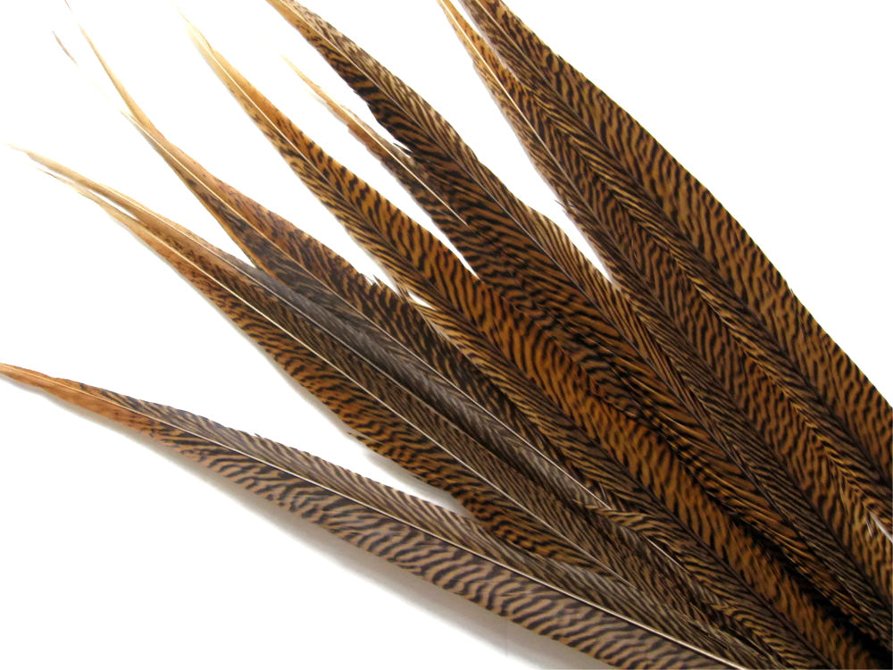 50 Pieces - 20-25" Natural Brown Golden Extra Long Pheasant Tail Wholesale Feathers (Bulk)