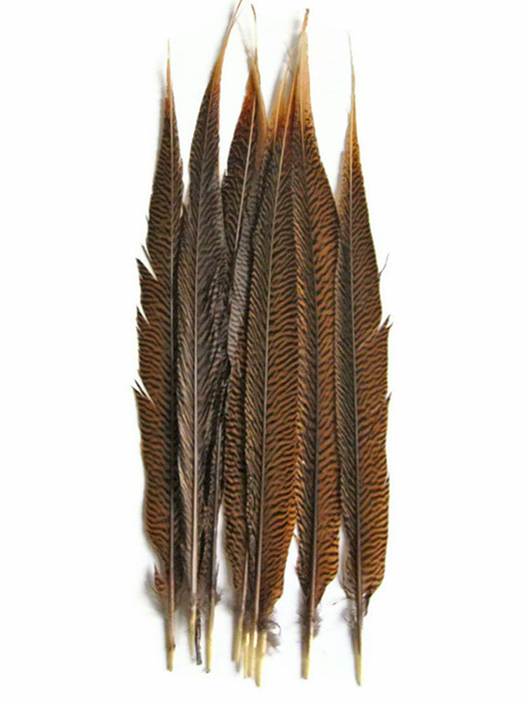 50 Pieces - 18-20" Natural Golden Pheasant Tail Wholesale Feathers (Bulk)