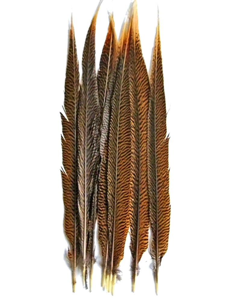 10 Pieces - 20-25" Natural Brown Extra Long Golden Pheasant Tail Feathers