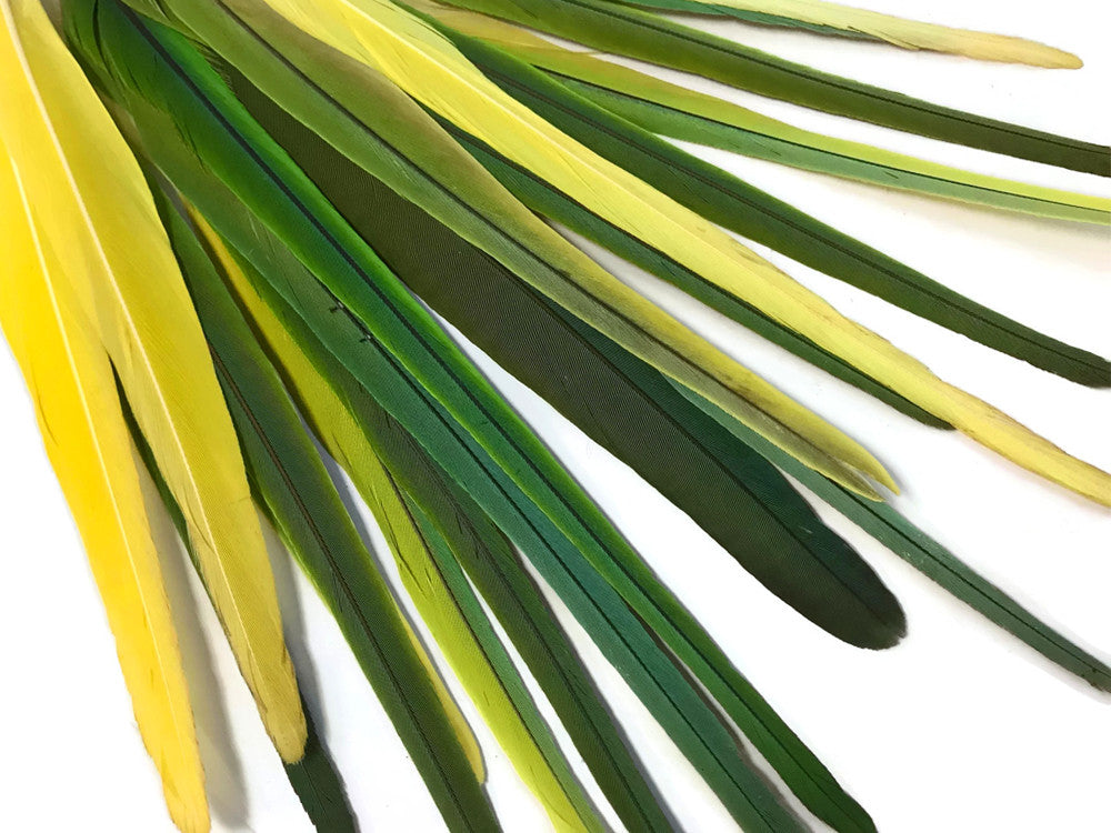 4 Pieces - Long Green & Yellow Mix Conure Tail Rare Feathers