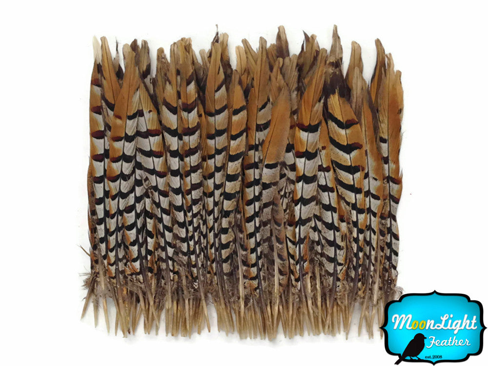 10 Pieces - 8-10" Natural Reeves Venery Pheasant Tail Feathers