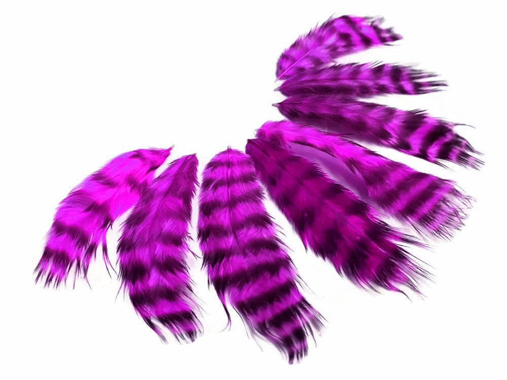 1 Dozen - Magenta Grizzly Mini Rooster Chickabou Fluff Whiting Hair Feathers