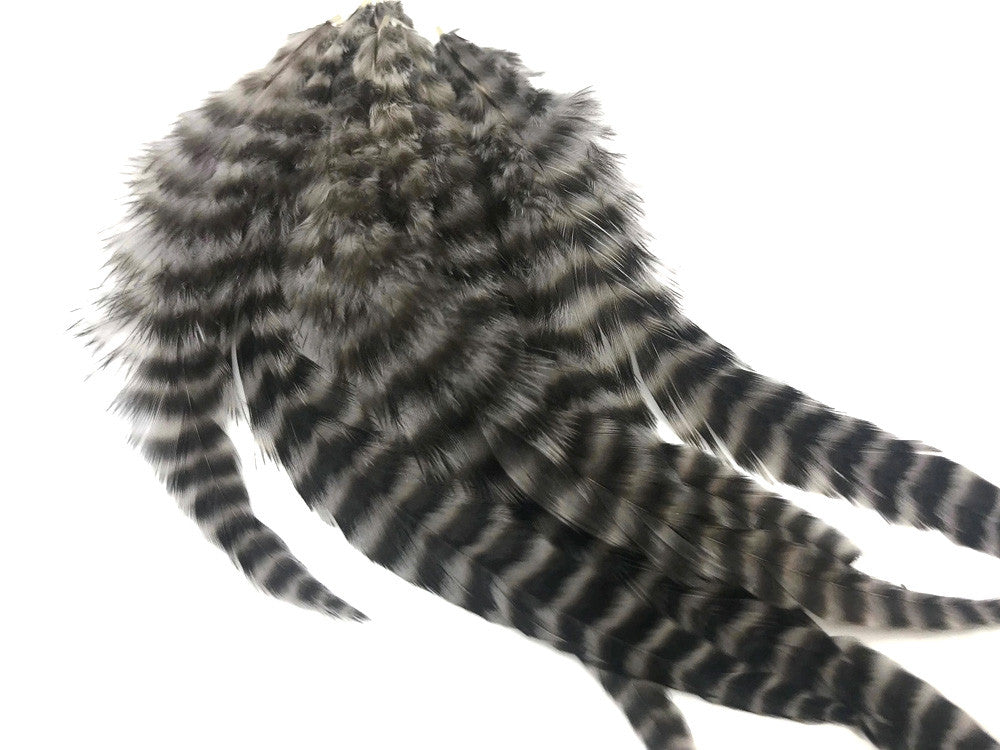 1 Dozen - Medium Grey Dun Grizzly Rooster Saddle Whiting Hair Extension Feathers