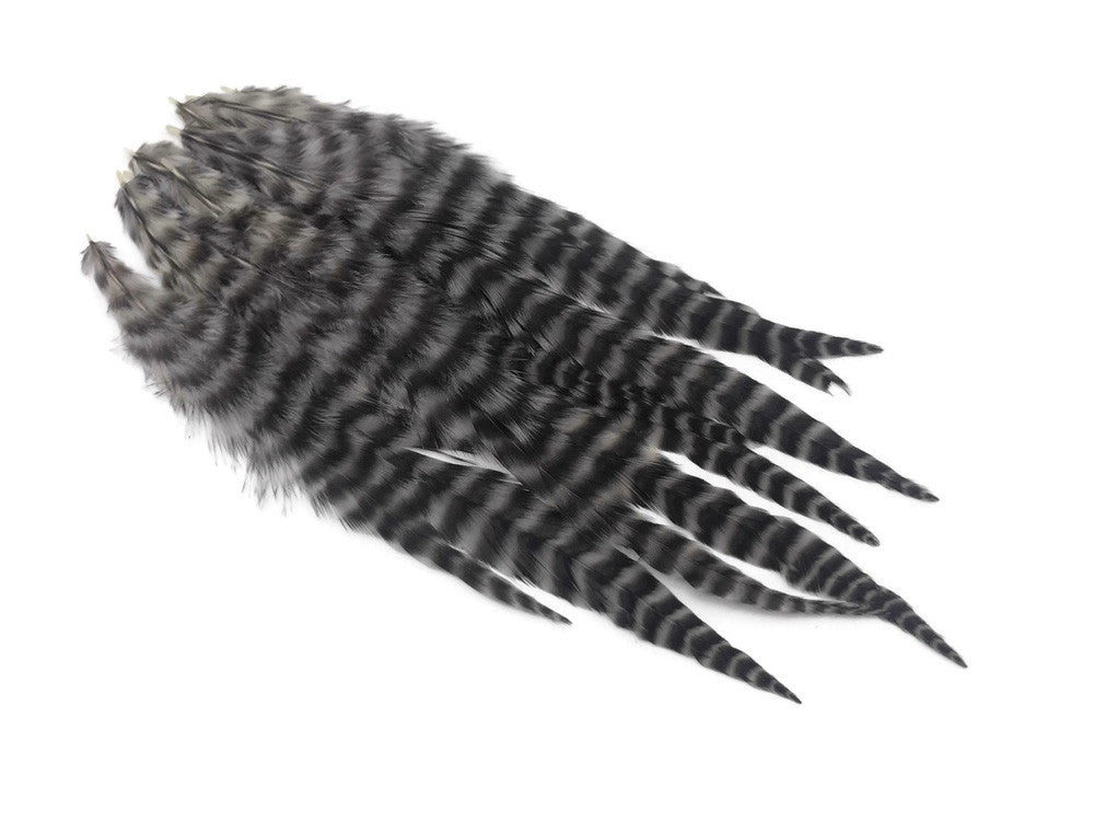 1 Dozen - Medium Grey Dun Grizzly Rooster Saddle Whiting Hair Extension Feathers