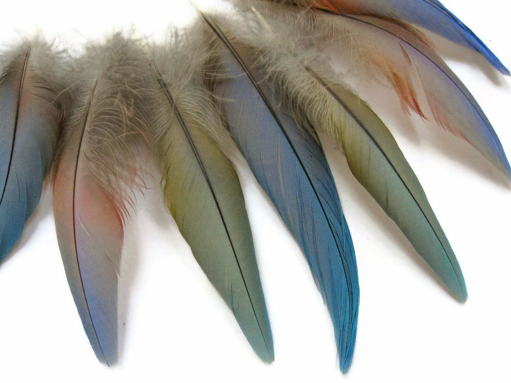 4 Pieces - Small Natural Blue Covert Wing Scarlet Macaw Rare Feathers