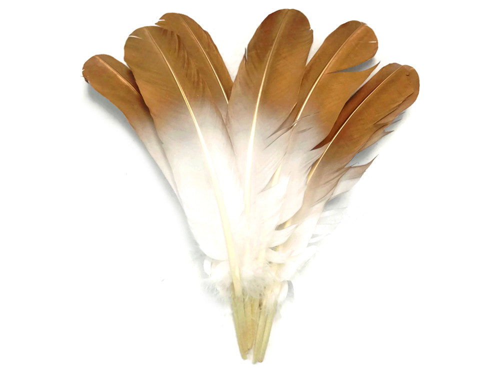 1/4 lbs. - Gold Metallic Spray Paint Over White Tipped Tom Turkey Rounds Imitation "Eagle" Wholesale Feathers (Bulk)