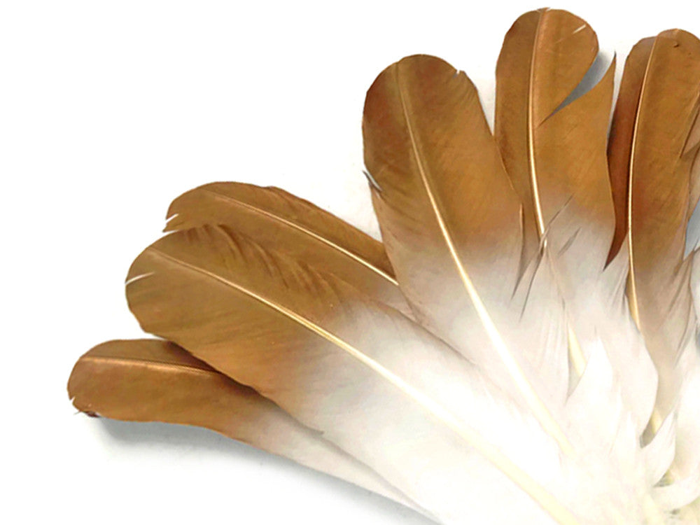 6 Pieces - Gold Tipped Metallic Spray Painted White "Imitation Eagle" Turkey Tom Rounds Secondary Wing Quill Feathers