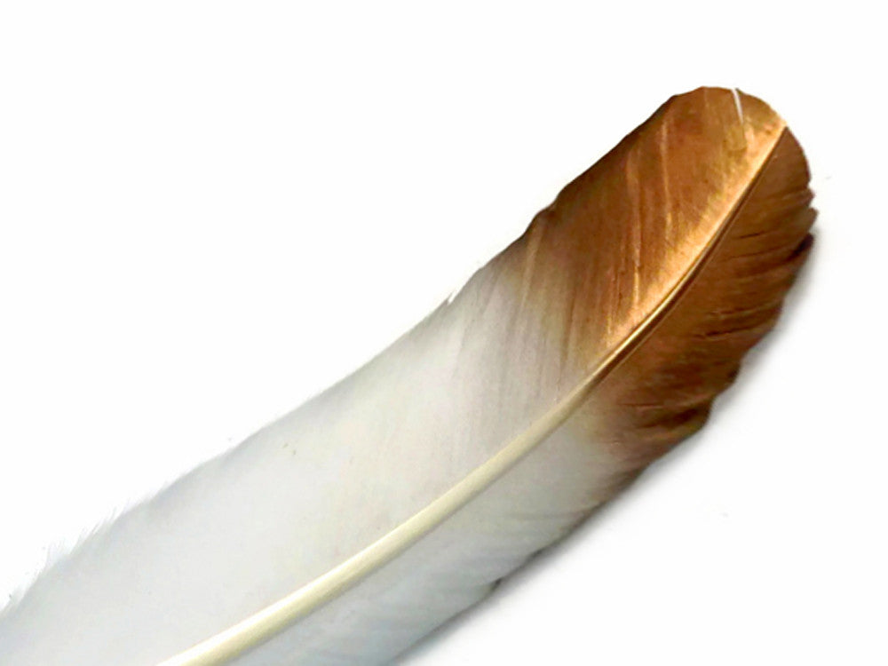 1/4 lbs. - Gold Metallic Spray Paint Over White Tipped Tom Turkey Rounds Imitation "Eagle" Wholesale Feathers (Bulk)