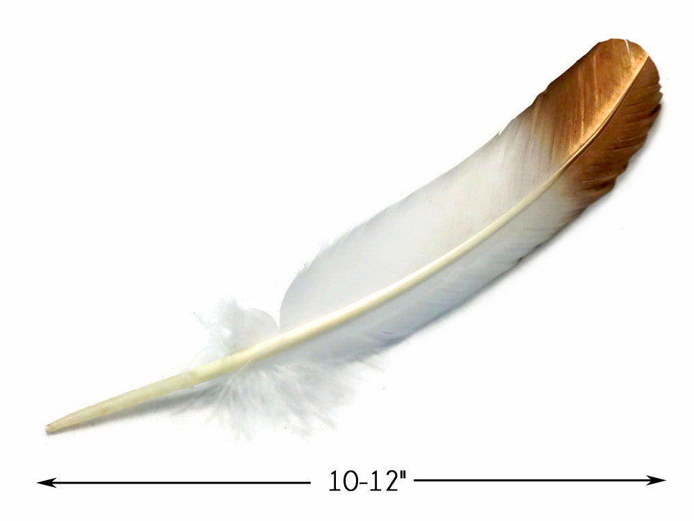 1/4 lbs. - Gold Metallic Spray Paint Over White Tipped Tom Turkey Rounds Imitation "Eagle" Wholesale Feathers (Bulk)