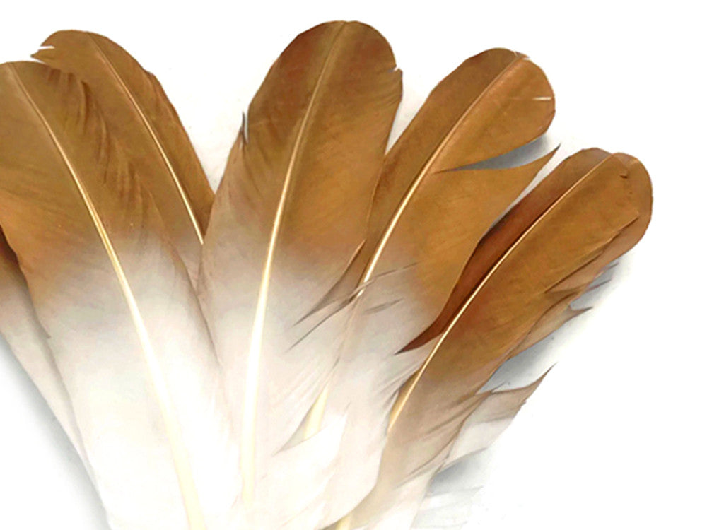 6 Pieces - Gold Tipped Metallic Spray Painted White "Imitation Eagle" Turkey Tom Rounds Secondary Wing Quill Feathers