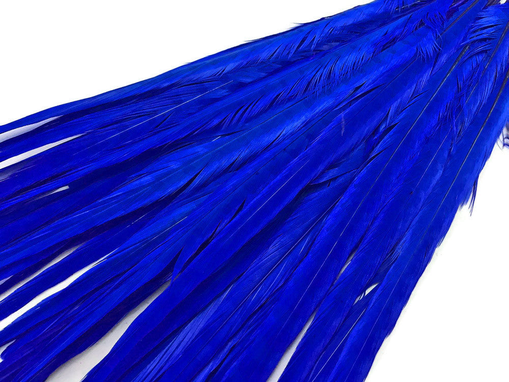 50 Pieces - 18-22" Midnight Blue Bleached & Dyed Long Ringneck Pheasant Tail Wholesale Feathers (Bulk)