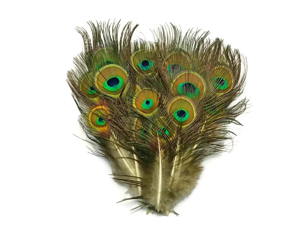 Vibrant peacock feathers with iridescent eyes for crafts and fashion decor.