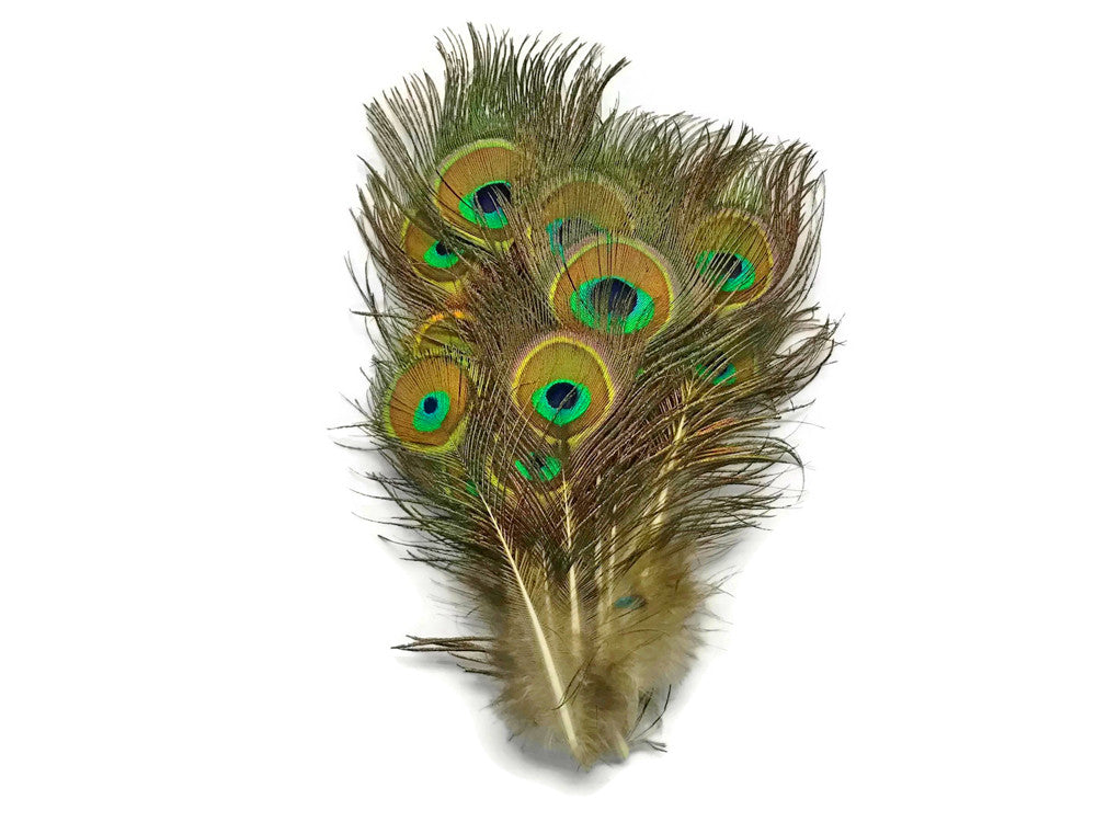 10 Pieces - Mini Natural Peacock Tail Body Feathers 3-6" Long