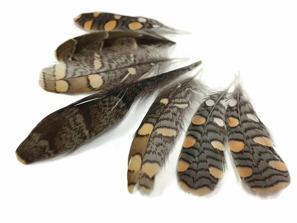 10 Pieces -  Natural Mini Jungle Cock Small Wing Secondary Feathers
