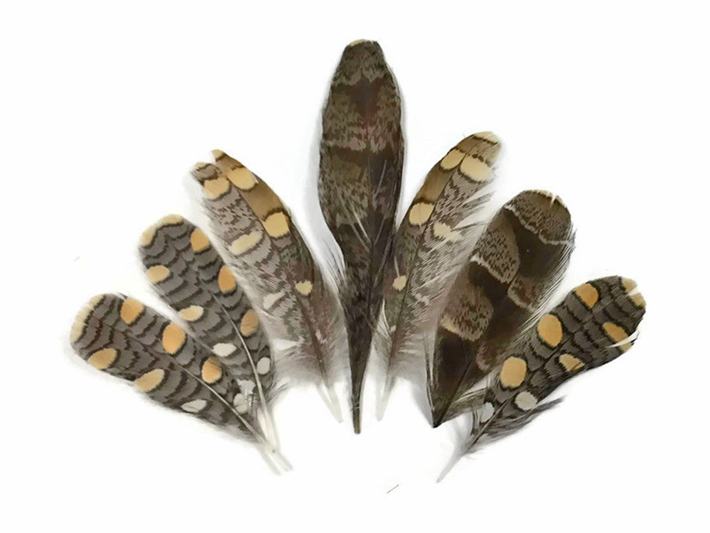 10 Pieces -  Natural Mini Jungle Cock Small Wing Secondary Feathers