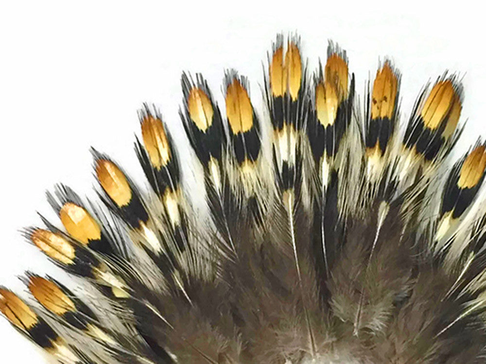 10 Pieces - Mini Natural Gold Jungle Cock Eye Loose Feather