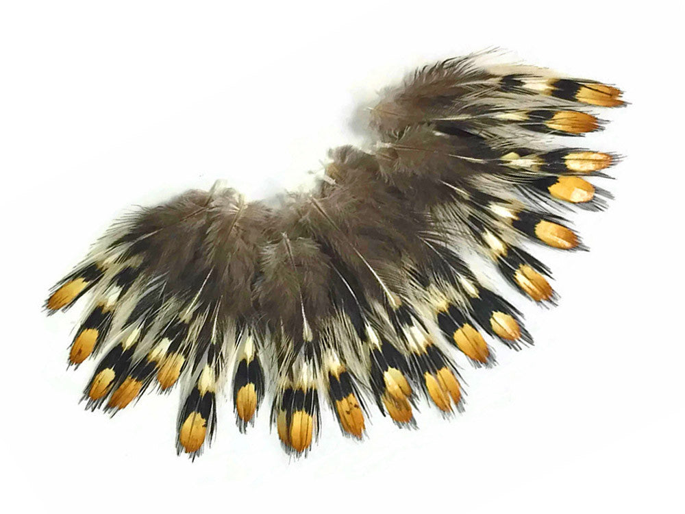 10 Pieces - Mini Natural Gold Jungle Cock Eye Loose Feather