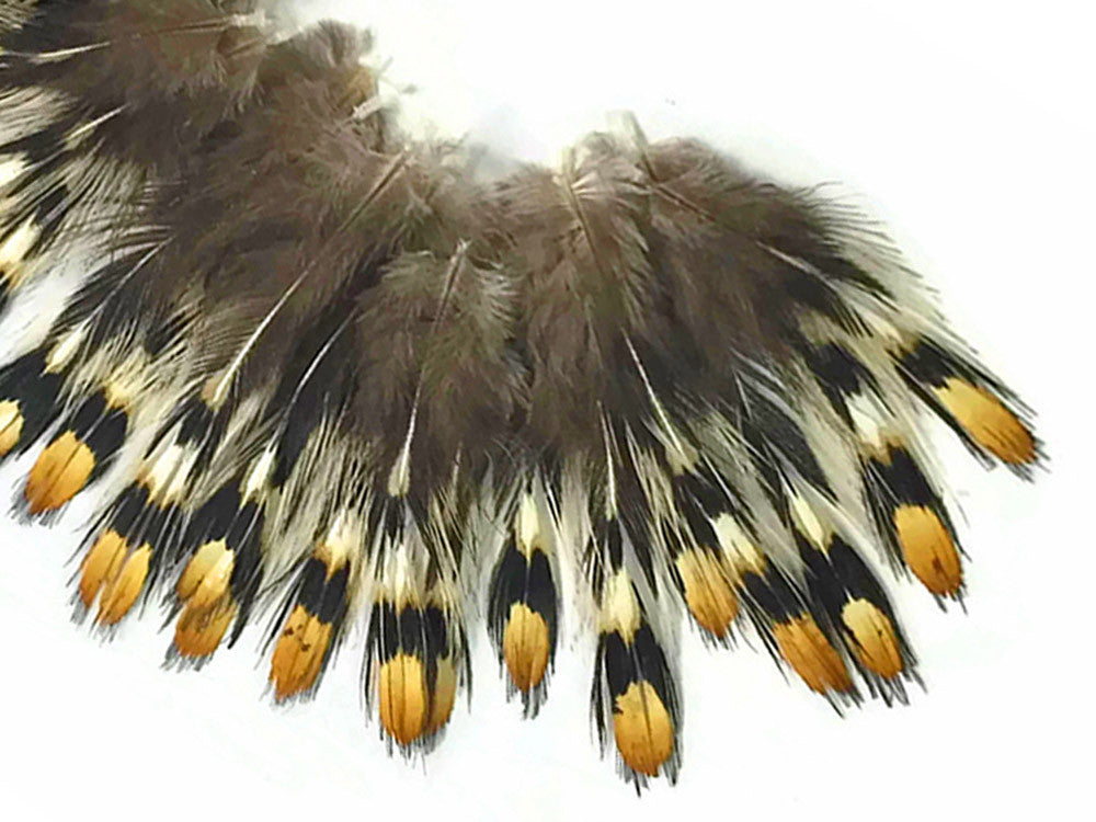 10 Pieces - Mini Natural Gold Jungle Cock Eye Loose Feather