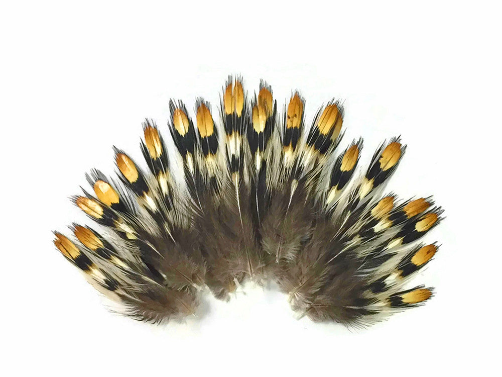 10 Pieces - Mini Natural Gold Jungle Cock Eye Loose Feather