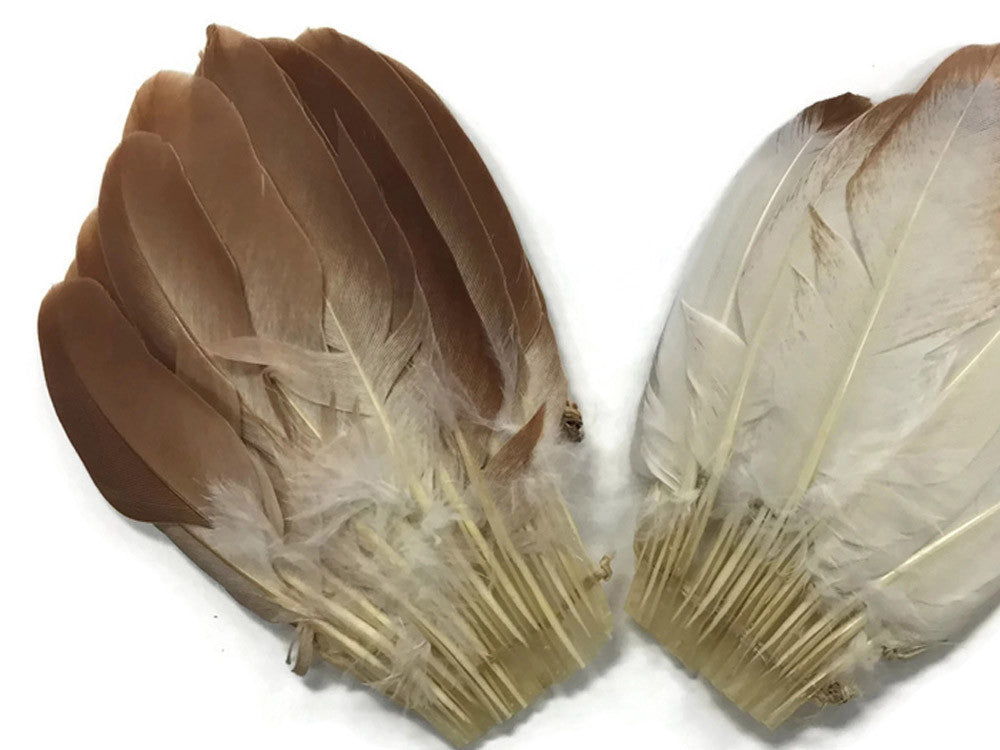 2 Pieces - Mini Natural Brown Duck Cochette Center Fan Feather Pads