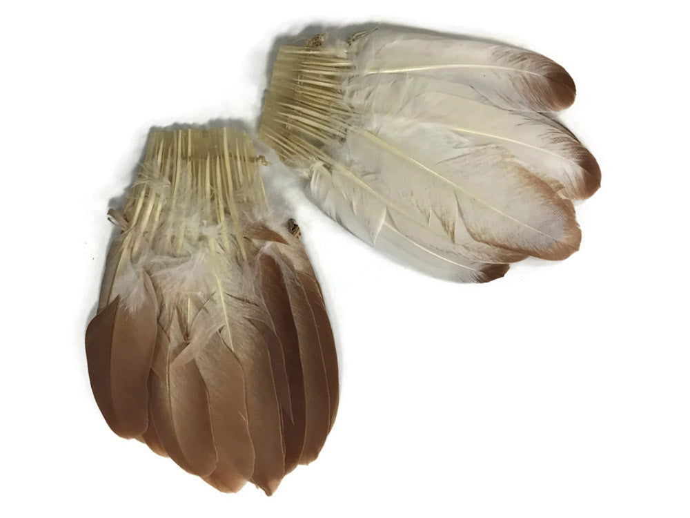 2 Pieces - Mini Natural Brown Duck Cochette Center Fan Feather Pads