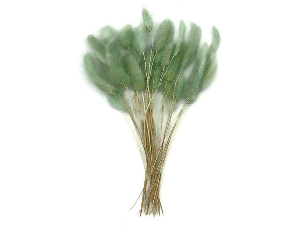 30 Pieces - 12-15" Mint Green Bunny Tail Preserved Dried Botanical Grass Bouquet