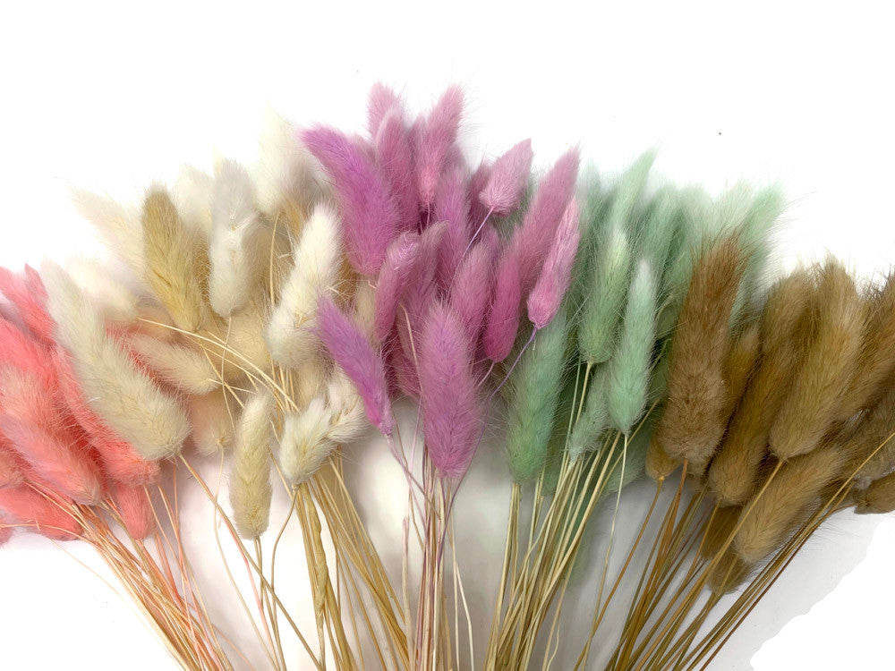 30 Pieces - 12-15" Mint Green Bunny Tail Preserved Dried Botanical Grass Bouquet