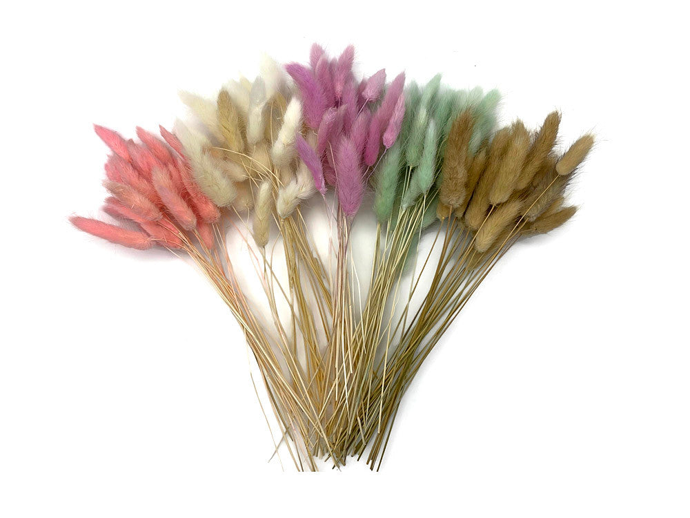 30 Pieces - 12-15" Bleached White Bunny Tail Preserved Dried Botanical Grass Bouquet