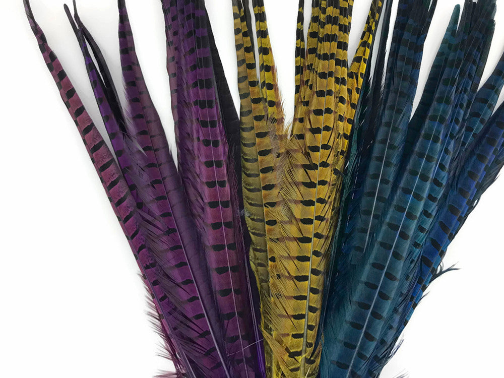 50 Pieces - 18-22" Blue Dyed Over Natural Long Ringneck Pheasant Tail Wholesale Feathers (Bulk)