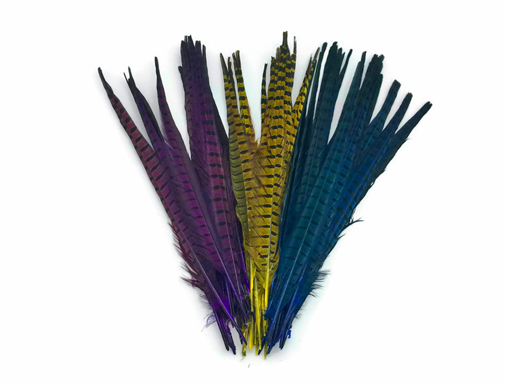 50 Pieces - 18-22" Blue Dyed Over Natural Long Ringneck Pheasant Tail Wholesale Feathers (Bulk)