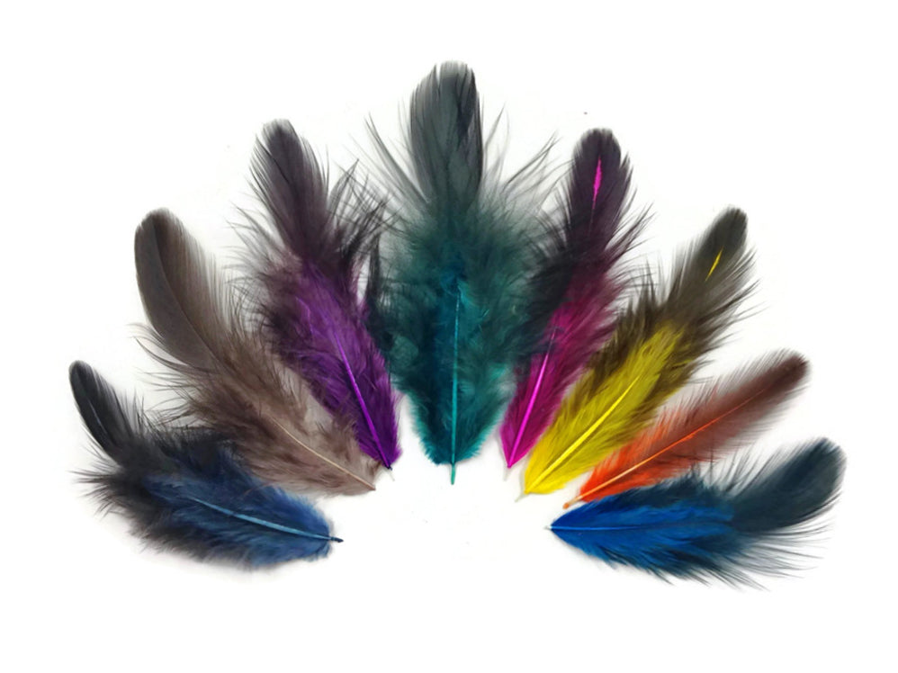 1 Pack - Rainbow Colorful Mix Hen Saddle Half Bronze Whiting Farm Feathers 0.10 Oz.