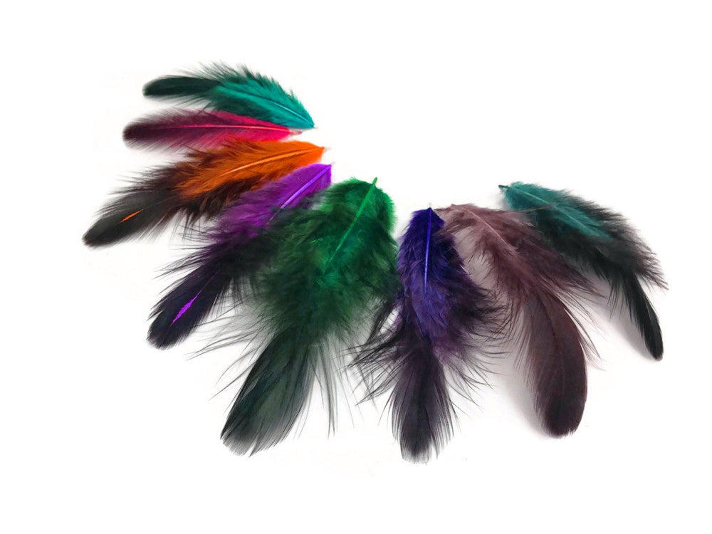 1 Pack - Rainbow Colorful Mix Hen Saddle Half Bronze Whiting Farm Feathers 0.10 Oz.