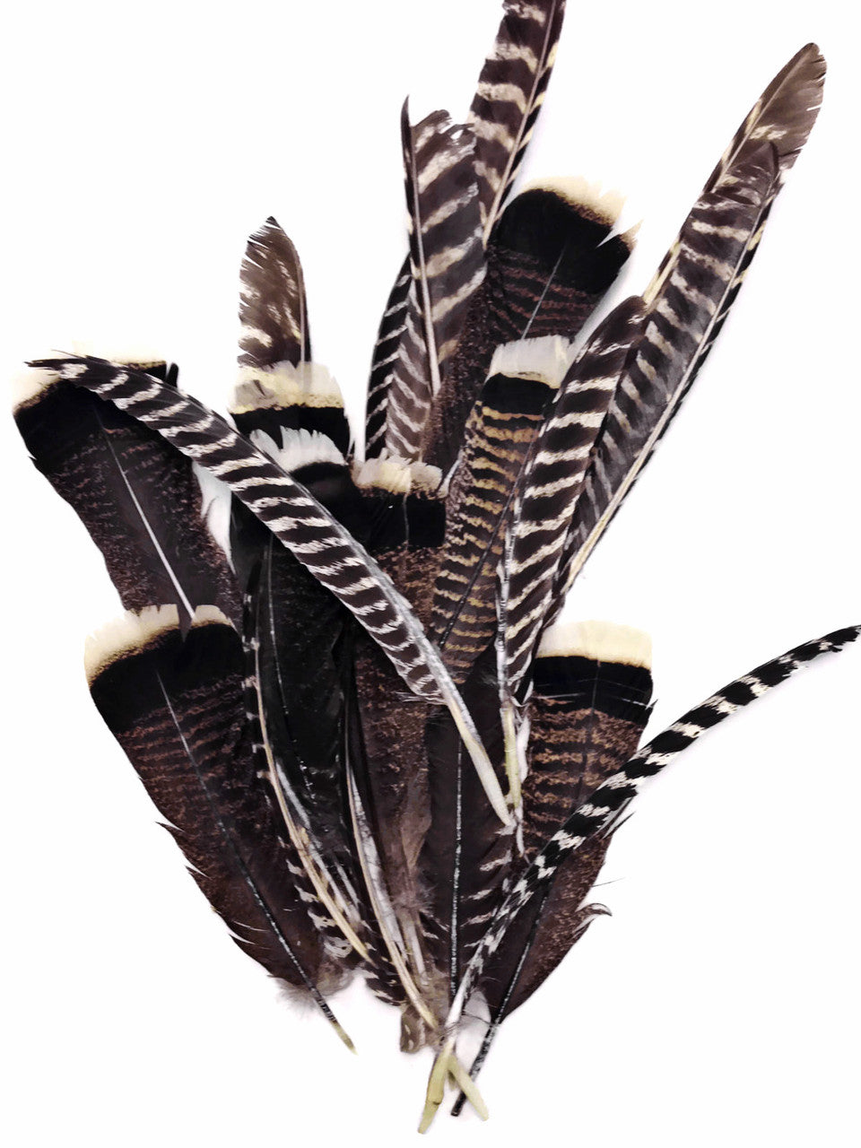 Wing Feathers, 1 Lb - Navy Blue Turkey Rounds Wing Quill Wholesale Feathers popular (Bulk) Halloween Craft Supplier : 4931