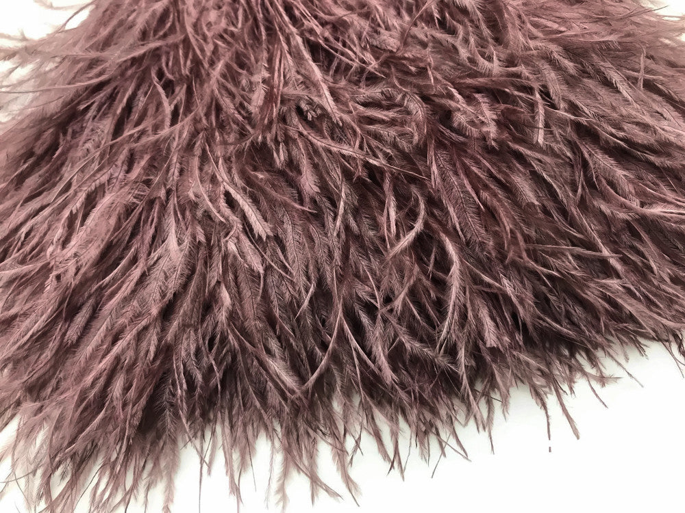 6 Inch Strip - Mocha Ostrich Fringe Trim Feather