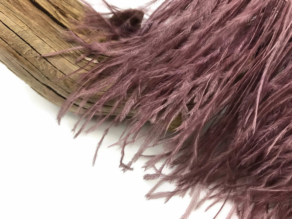 10 Yards - Mocha Ostrich Fringe Trim Wholesale Feather (Bulk)