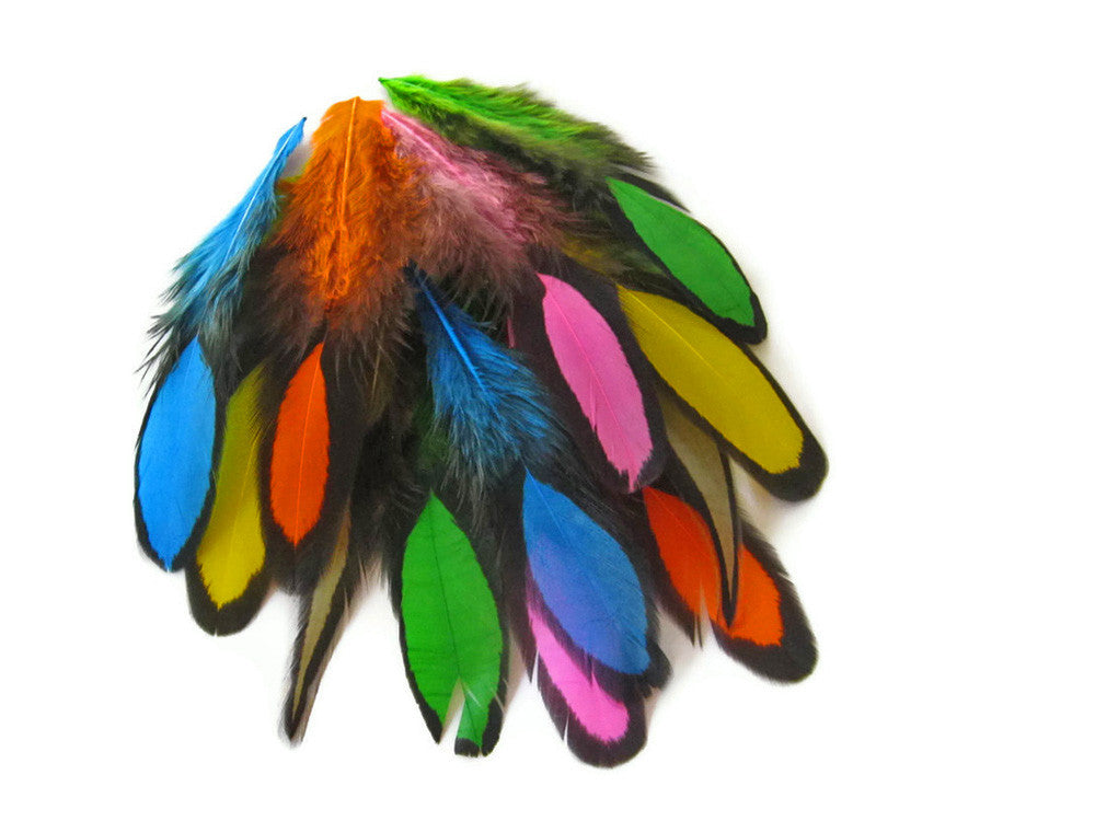 1 Dozen - Multi Color Whiting Farms Laced Hen Saddle Mix Feathers