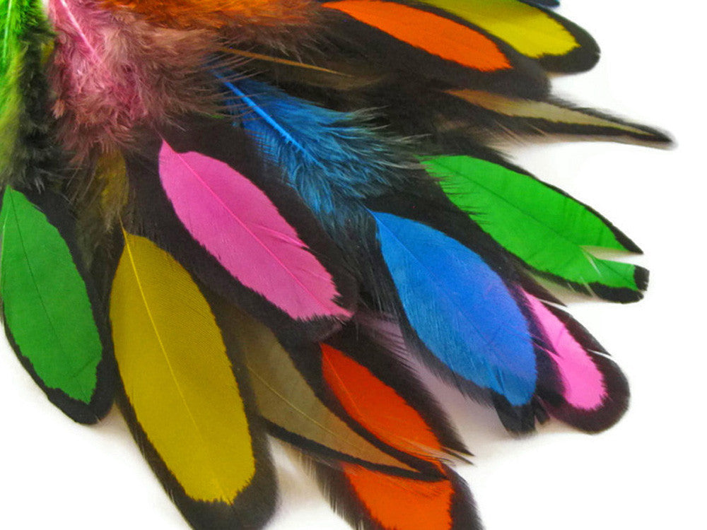 1 Dozen - Multi Color Whiting Farms Laced Hen Saddle Mix Feathers