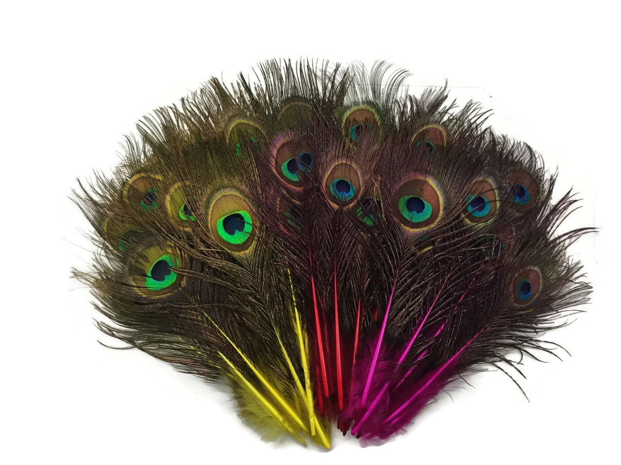 10 Pieces - Red Mini Natural Peacock Tail Body Feathers With Eyes