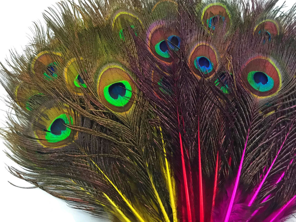 10 Pieces - Red Mini Natural Peacock Tail Body Feathers With Eyes