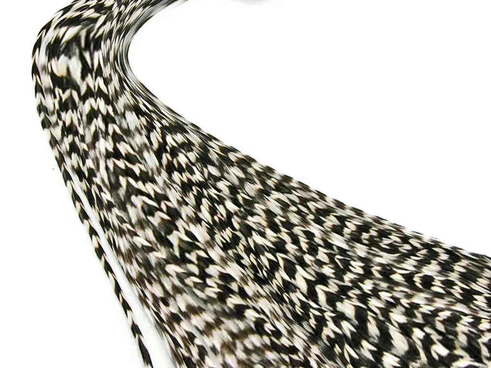 Black and white patterned craft feathers for DIY fashion and decor.