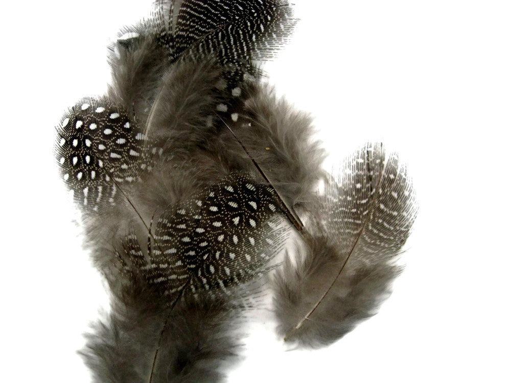 1/4 Lb - Natural Black & White Guinea Hen Plumage Polka Dot Feathers Wholesale (Bulk)