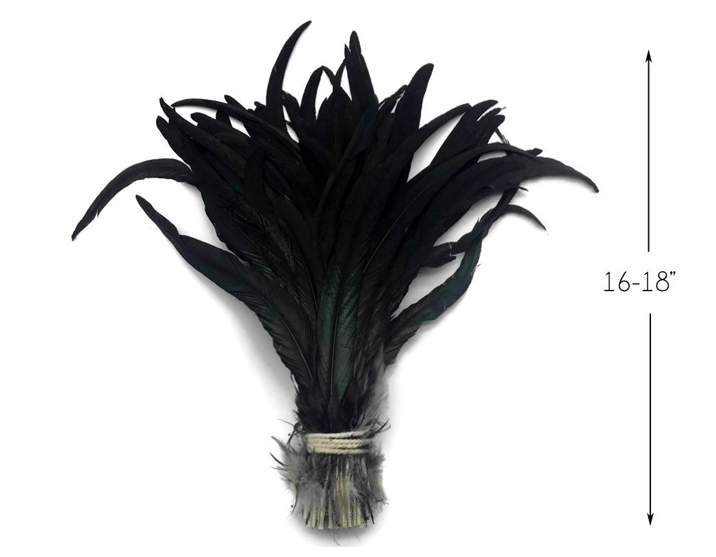 10 Pieces -  16-18" Natural Black Half Bronze Coque Tail Strung Feathers