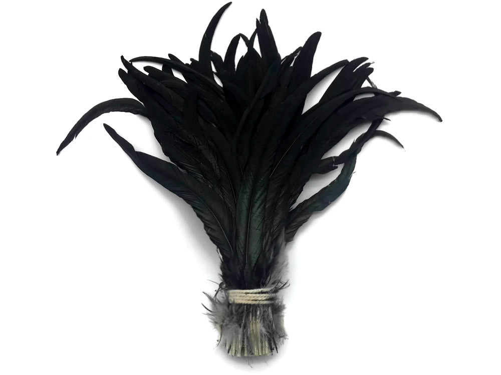 10 Pieces -  16-18" Natural Black Half Bronze Coque Tail Strung Feathers