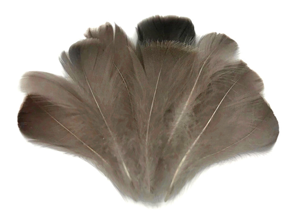 1/4 Lb - 2-3" Natural Brown Goose Coquille Loose Wholesale Feathers (Bulk)