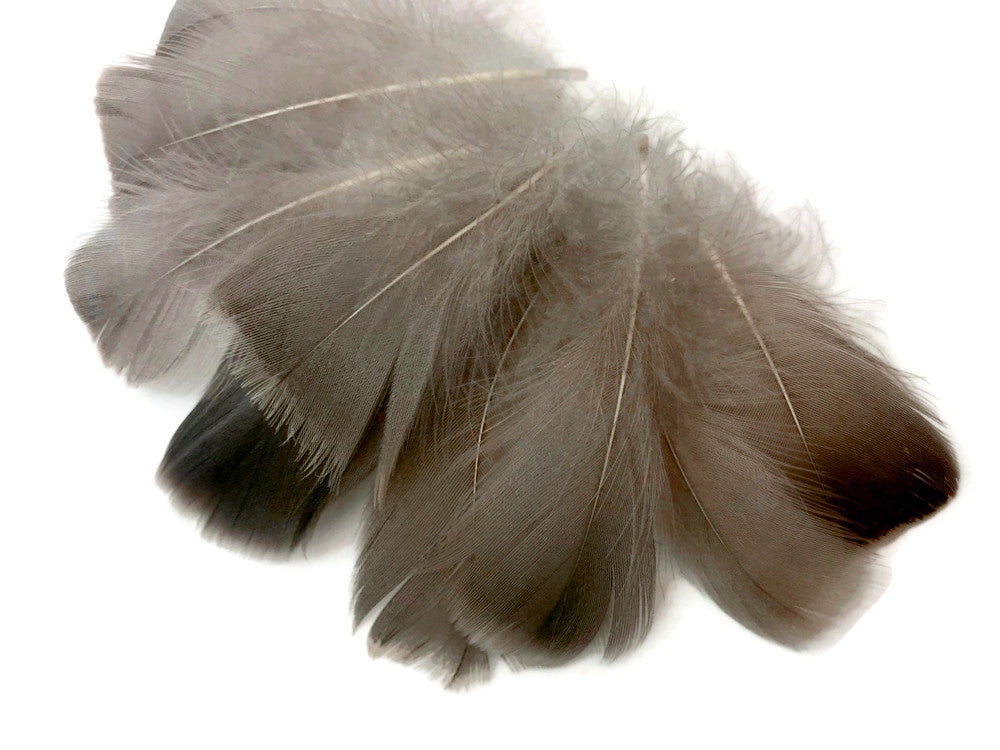 1/4 Lb - 2-3" Natural Brown Goose Coquille Loose Wholesale Feathers (Bulk)